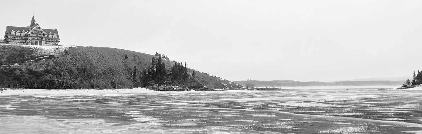 Black and White Scapes banner